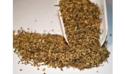 Flor de sauco - Engloba Food Solutions