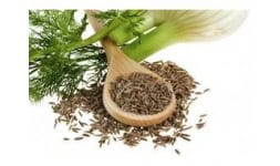 Hinojo - Engloba Food Solutions