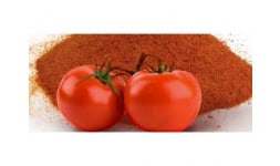 Jitomate en polvo - Engloba Food Solutions