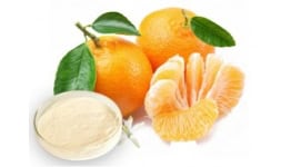 Mandarina en polvo - Engloba Food Solutions