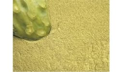 Nopal en polvo - Engloba Food Solutions