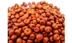 Pinguica - Engloba Food Solutions