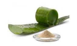 Sabila en polvo - Engloba Food Solutions