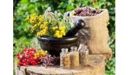 Plantas medicinales nacionales - LipseNatural