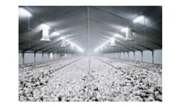 Aspas para ventiladores - Multi-Wing México