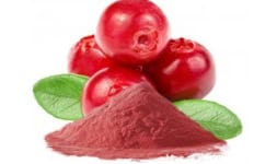 Arandano fruto en polvo - Engloba Food Solutions