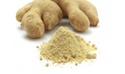 Jengibre deshidratado en trozos o en polvo - Engloba Food Solutions