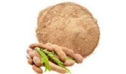 Tamarindo deshidratado en polvo - Engloba Food Solutions