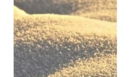 Arenas silicas - Organización 15