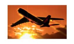 Asesoria empresarial en comercio exterior - Freight and Cargo Services de México / Freight & Cargo