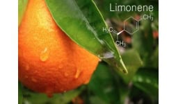 Terpenos de naranja - Especialidades PDV