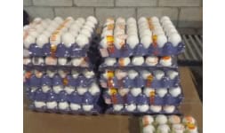 Poliolefinas termoencogibles - Brimpack México