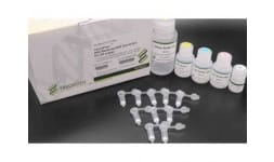 Kits para extraccion de adn bacteriano de la leche - Diproqyn