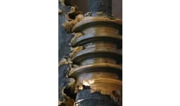 Grasas lubricantes - Lubricash de México