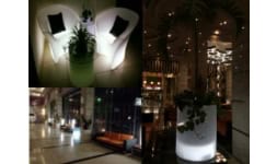 Macetas decorativas - Maquilas de Rotomoldeo