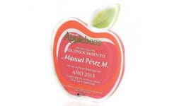 Reconocimientos en acrilico - Medallas y Monedas Romero