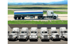 Adelgazadores - Solquim