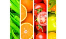 Vitamina e polvo/polvo seco - Future Foods