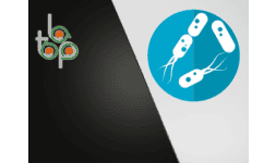 Plasticos anti-bacterias - Tecnología en Lámina Plástica