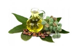 Aceite de ricino usp - FarmaNova
