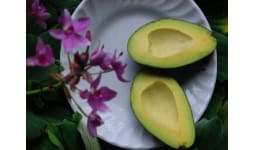 Aguacate deshidratado - Lio Mex