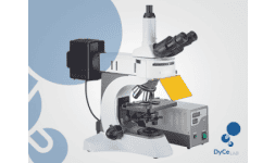 Microscopio estereoscopico binocular - Dycelab