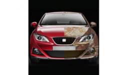 Resinas de poliester desaturadas - Reacciones Químicas