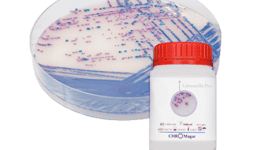 Medios de cultivo para salmonella - Serco Comercial