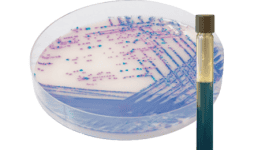 Medios de cultivo para salmonella - Serco Comercial