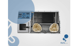 Camaras anaerobicas - Dycelab