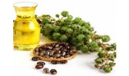 Aceite de ricino sulfonado al 75% - FarmaNova