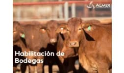 Transitario - Almer Almacenadora Mercader