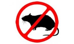 Raticida - Univar Solutions
