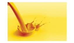 Modificadores reologicos - Univar Solutions