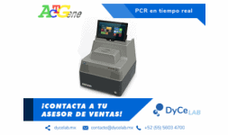 Camaras para pcr - Dycelab