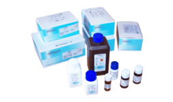 Aceite de inmersion tipo a - Azul Diagnostic