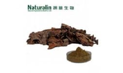 Extracto de cordyceps - Naturalin Bio-Resources Col.