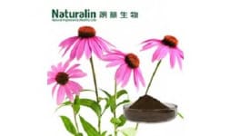 Extracto de equinacea - Naturalin Bio-Resources Col.