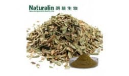Extracto de hoja de olivo - Naturalin Bio-Resources Col.