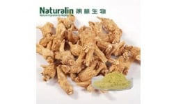 Extracto de ginseng - Naturalin Bio-Resources Col.