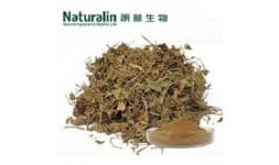 Extracto de gotu kola - Naturalin Bio-Resources Col.