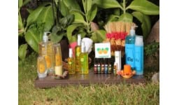 Aceites esenciales puros - Citroarom