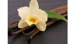 Vainilla en vaina - Citroarom