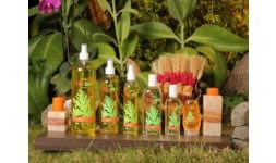 Aceites esenciales - Citroarom