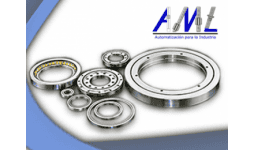 Rodamientos para la industria en general - Automatización Mecánica Lineal