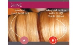 Silicones para cosmeticos - Aditivos y Productos Químicos