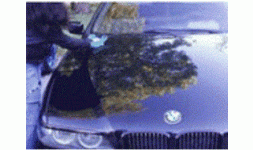 Ceras de teflon - Interceras