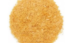 Ceras montana - Interceras