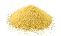 Ceras montana - Interceras