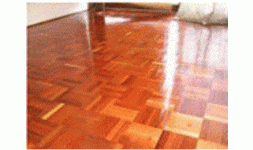 Emulsiones de cera de carnauba - Interceras